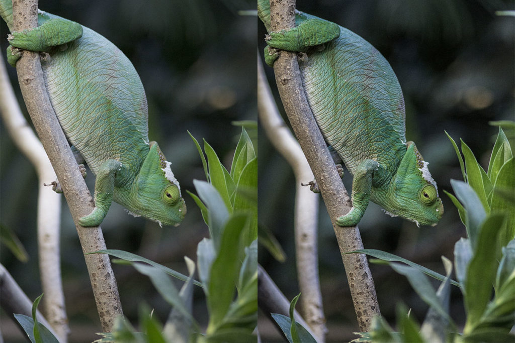 reglages-de-base-camera-raw-photoshop-la-retouche-photo